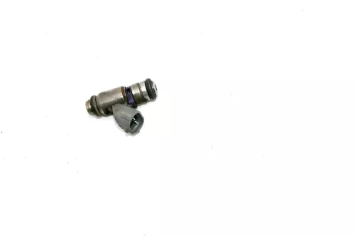 VW Bora Golf 4 Einspritzdüse Düse 036031T 036906031T 1,6 16V AZD BCB 77kw 105PS (106904)