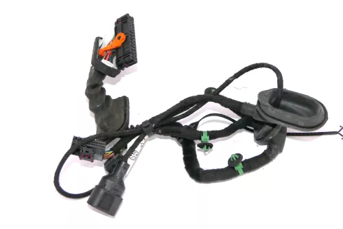 VW Caddy 2K Kabelbaum Tür Türkabelbaum ZV vorne rechts 2K0971121S