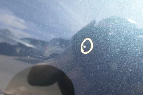 VW Golf 4 Bora Tür hinten links nur Kombi / Variant grün LC6X (116050)