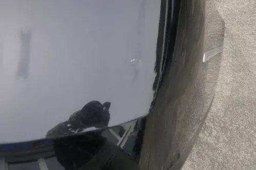 VW Passat 3C Kombi Stoßstange hinten Heckstoßstange Stoßfänger schwarz LC9X 6305 (116305)