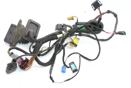 VW Golf Plus Kabelbaum Tür Türkabelbaum ZV vorne links 5M1971120AF (118724)