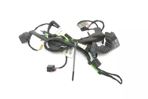 Audi A6 4F Kabelbaum Tür Türkabelbaum ZV hinten links 4F1971693G