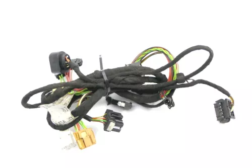 Audi A6 4B Kabelbaum Tür Türkabelbaum ZV vorne rechts 4B0971029G (119879)