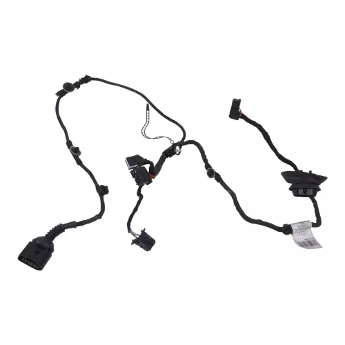 Audi 8E B6 Kabelbaum Tür Türkabelbaum ZV vorne links 8E1971029B 8E1971029C