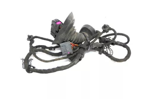 Audi 8E B6 Kabelbaum Tür Türkabelbaum ZV vorne links 8E1971029B 8E1971029C (126161)