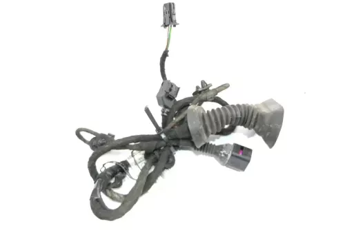 Audi 8E B6 Kabelbaum Tür Türkabelbaum ZV vorne rechts 8E1971029F 8E1971029G