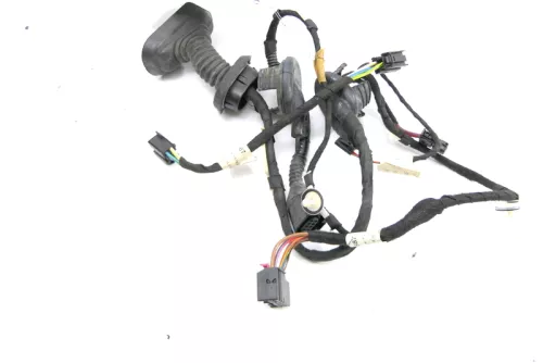 Audi A6 4F Kabelbaum Tür Türkabelbaum ZV hinten links 4F1971687N (126196)