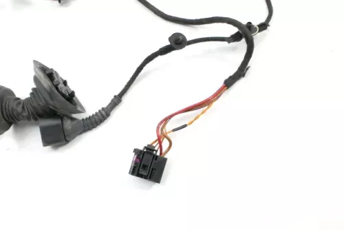 Audi 8E B6 Kabelbaum Tür Türkabelbaum ZV vorne rechts 8E1971029D 8E1971029G (127519)