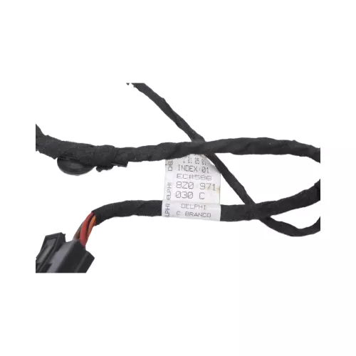 Audi A2 8Z Kabelbaum Tür Türkabelbaum ZV vorne links 8Z0971030C /B (129262)
