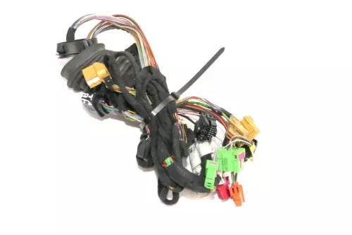 Audi A6 4B Kabelbaum Tür Türkabelbaum ZV vorne links 4B0971035AJ