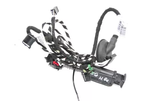 VW Golf 7 5G Kabelbaum Tür Türkabelbaum ZV hinten rechts 5G4971694K