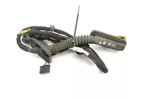 VW Polo 6R 6C Kabelbaum Tür Türkabelbaum ZV hinten links Leitungssatz 6C4971693C