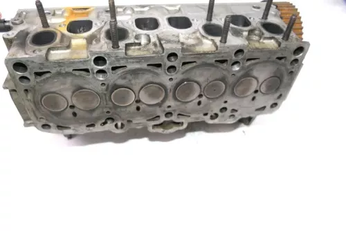 VW Passat 3C Golf Zylinderkopf Kopf 1,9 TDI 77kw 105PS Motor BLS BXE BKC BSU BST (141045)