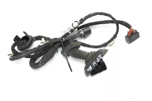 Audi A3 8P 4/5-Türer Kabelbaum Tür Türkabelbaum ZV hinten links 8P4971687Q (141274)