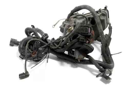 Audi Q7 4L Kabelbaum im Motorraum 4L1971072BL Sicherungskasten (148104)