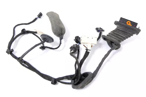 VW Passat 3C Kabelbaum Tür Türkabelbaum ZV hinten rechts 3C4971694EP (148732)