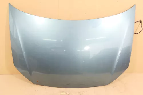 VW Polo 9N3 Cross Motorhaube KLappe vorne LA6L grün   BILDER