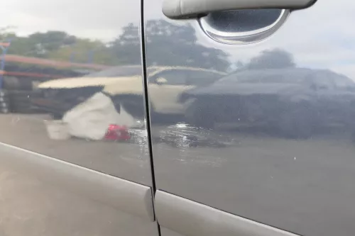 VW Golf 5 V 1K Tür vorne rechts Beifahrertür 4/5-Türer blau LC5F nur TÜRBLATT  (150462)