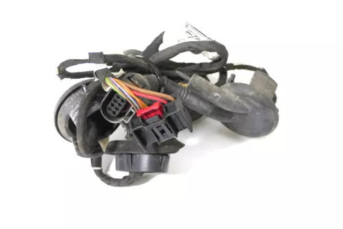 Audi A6 4F Kabelbaum Tür Türkabelbaum ZV hinten links 4F1971687N 4F1971687M (151107)
