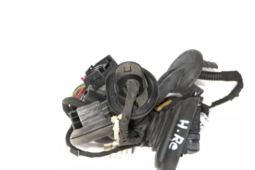Audi A6 4F Kabelbaum Tür Türkabelbaum ZV hinten links 4F1971687N 4F1971687M (151107)