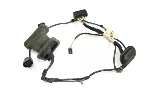 VW Golf Plus Kabelbaum Tür Türkabelbaum ZV hinten rechts 5M0971694T (153228)