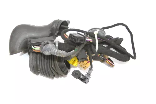 VW Passat 3B Kabelbaum Tür Türkabelbaum ZV vorne links 3B0971120D bis 1997 (155118)