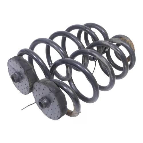 Audi A4 B6 8E Feder Federn hinten 8E0511115CQ    2 Stück (156347)