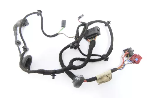 VW Passat 3BG 3B Variant Kabelbaum Tür Türkabelbaum ZV hinten links 3B0971161J (158615)