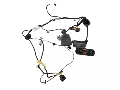 Passat 3C B7 Kabelbaum Tür Türkabelbaum ZV hinten links Leitungssatz 3AA971693BT
