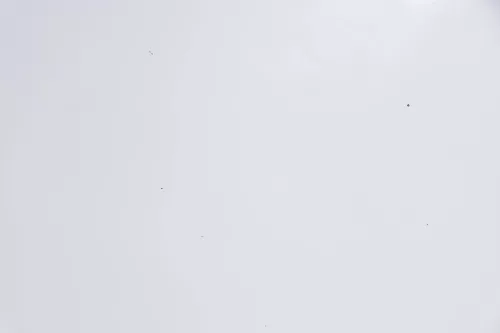 VW Sharan 7M Motorhaube Klappe Haube vorn vorne silber LB7Z abca.Bj2000passend (160057)