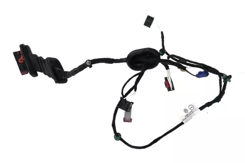 VW Caddy 2K Kabelbaum Tür Türkabelbaum ZV vorne links 2K5971120AL 2K5971120AK (163385)