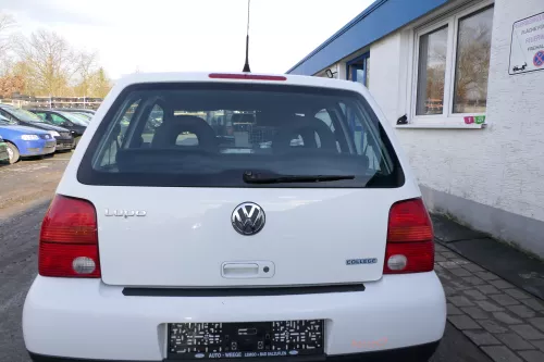 VW Lupo 6X Heckklappe Klappe Kofferraumklappe Scheibe weiß LB9A ohneAnbautei (163778)