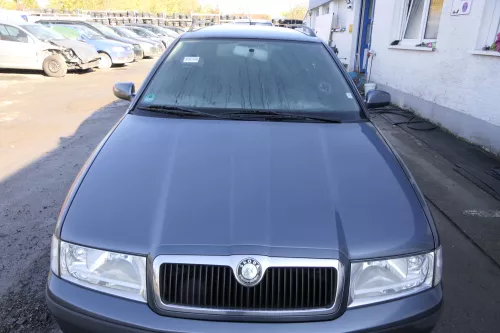 Skoda Octavia 1U NUR Grill vorne grau LF7V 9901 U9 Grill (165497)
