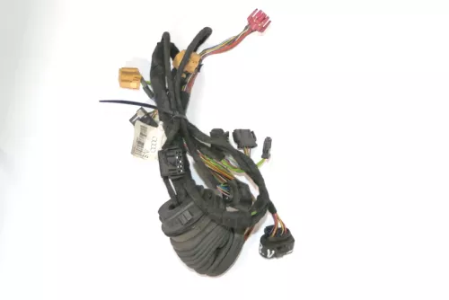 Audi A6 4B Kabelbaum Tür Türkabelbaum ZV vorne links 4B0971029E 4B0971029B (165986)
