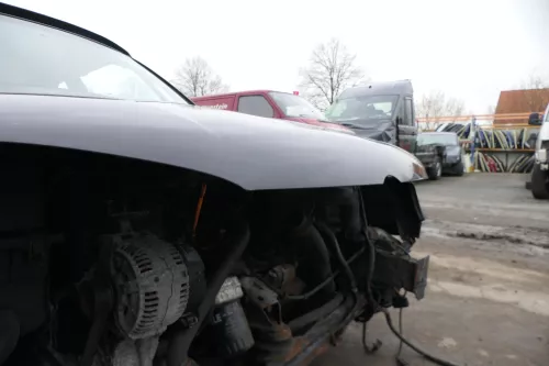 VW Golf 4 Cabrio 1E Motorhaube Haube Klappe vorne schwarz LC9Z (166756)