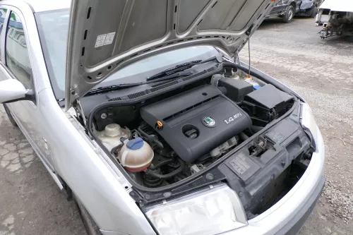 Skoda Fabia 6Y Motor 1.4 44kw 60 PS AZE / AZF - 180.000km (167781)