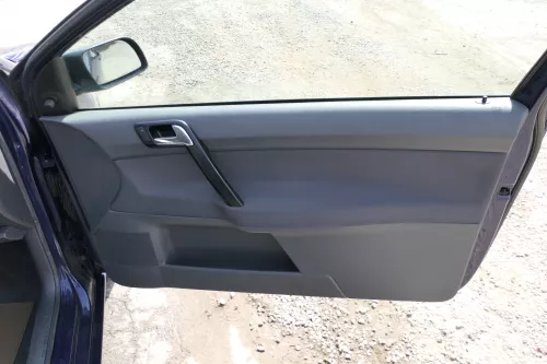 1x VW Polo 9N Türverkleidung Verkleidung Tür vorne rechts 2/3-Türer Beifahrertür (169119)