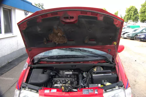 VW Golf 3 Ladeluftrohr Ladeluft Rohr Druckrohr 1H0129654Q 1,9 TDI AFN 81kw (170338)