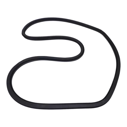 1x Leon 1P Türdichtung Dichtung Tür vorne links oder rechts Fahrertür 4/5-Türer (171366)