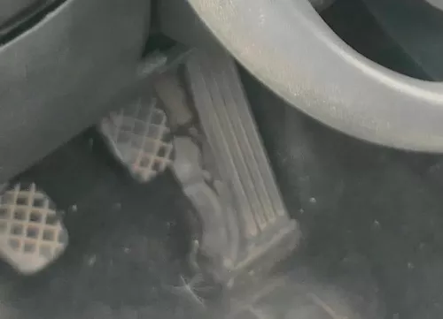 VW Tiguan Golf 6 Sharan elektrisches Gaspedal Geber Gas 1K1721503T AA AS