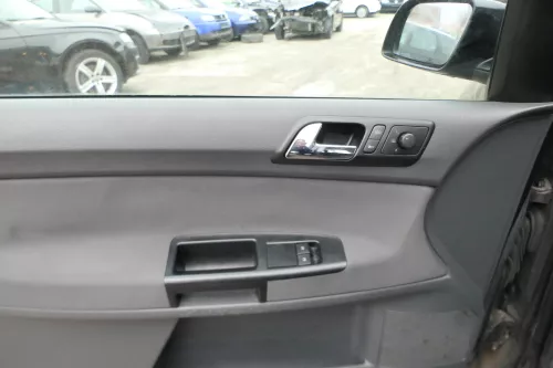 1x VW Polo 9N Türverkleidung Verkleidung Tür vorne links 2/3-Türer Fahrertür (172888)