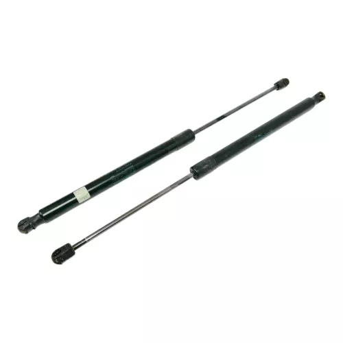 VW Tiguan 5N Dämpfer Heckklappe hinten links + rechts (173418)