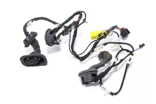 Audi A6 4F Kabelbaum Tür Türkabelbaum ZV vorne rechts 4F1971030AE 4F1971030AC (174274)