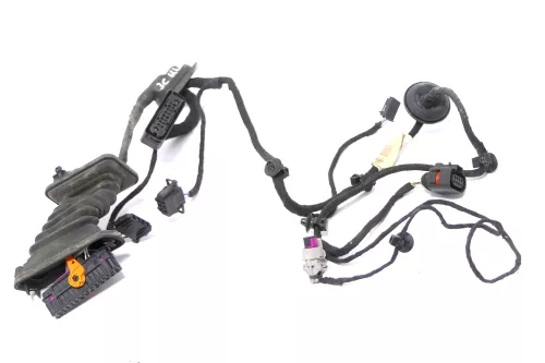VW Passat 3C Kabelbaum Tür Türkabelbaum ZV hinten links 3C4971693GG /FS