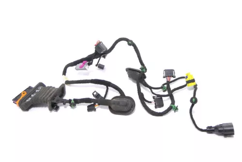 VW Golf 5 Kabelbaum Tür Türkabelbaum ZV vorne rechts 1K0971121CJ  (174369)