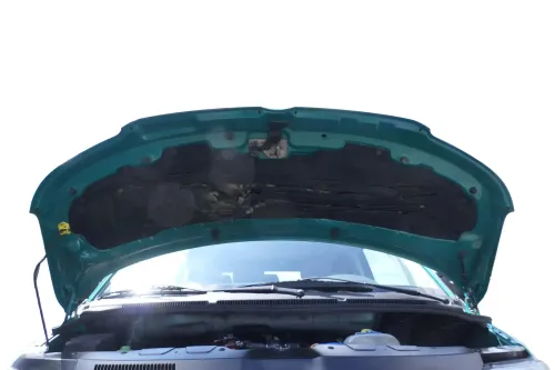 VW T5 Multivan Motorhaube Haube Klappe vorne grün weiß (176438)