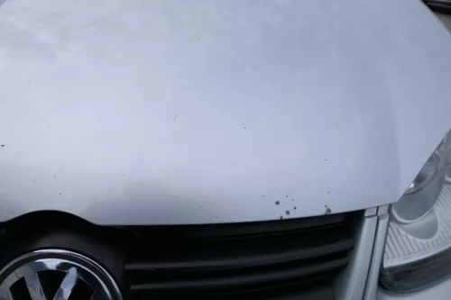VW Golf 5 V 1K5 Jetta 1K2 Motorhaube Haube Klappe vorne grau silber LA7W (176918)