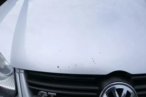 VW Golf 5 V 1K5 Jetta 1K2 Motorhaube Haube Klappe vorne grau silber LA7W (176918)