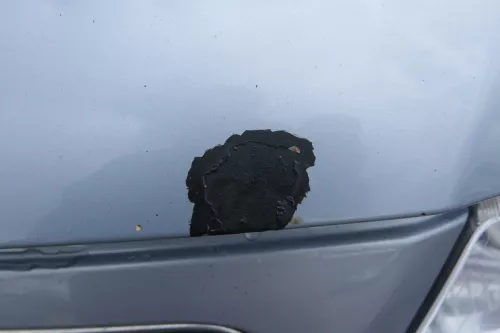 Audi A3 8L Motorhaube Frontklappe Haube blau LY7R auch für Facelift  (180329)