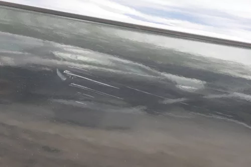 Audi A3 8P 2/3-Türer Tür vorne links Fahrertür Türblatt schwarz LZ9Y (180389)